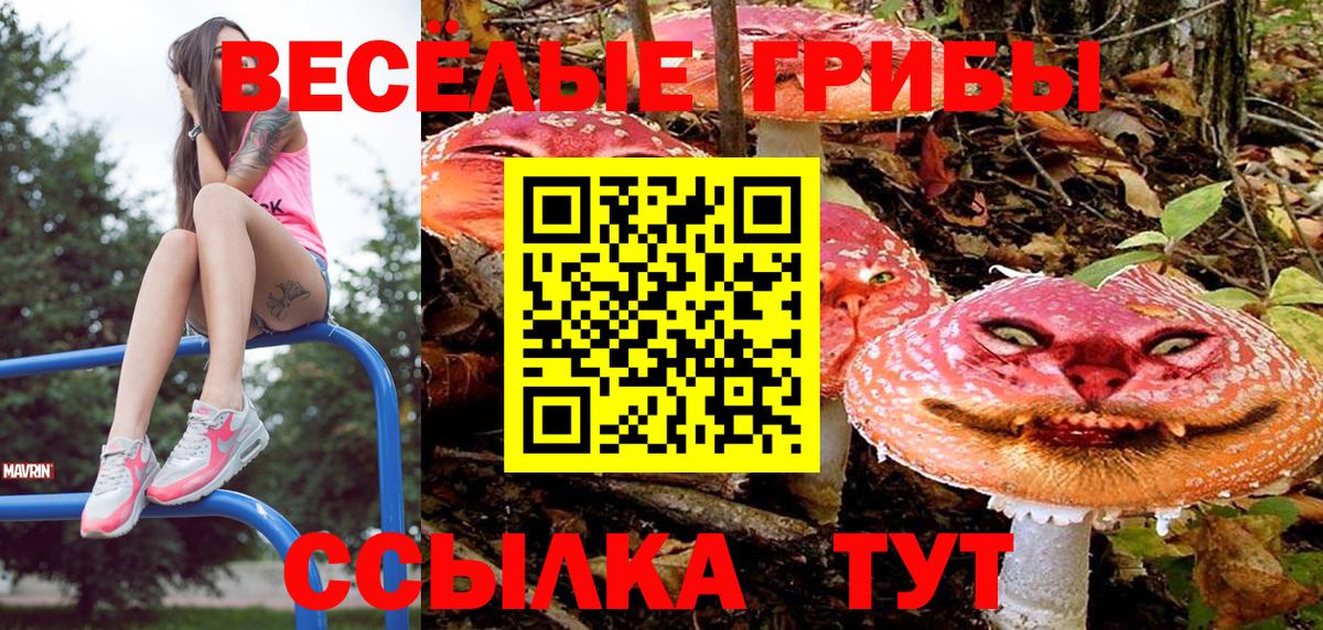 Псилоцибиновые грибы ЛСД Новосибирск