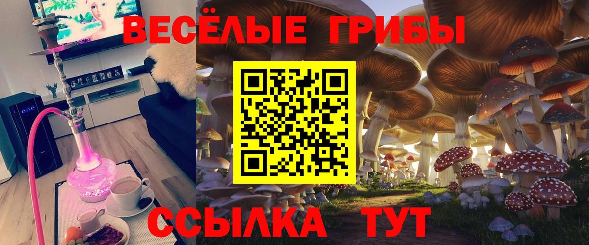 Псилоцибиновые грибы Cubensis  Вход с VPN  где продают наркотики  Галлюциногенные грибы ЛСД  Новосибирск 